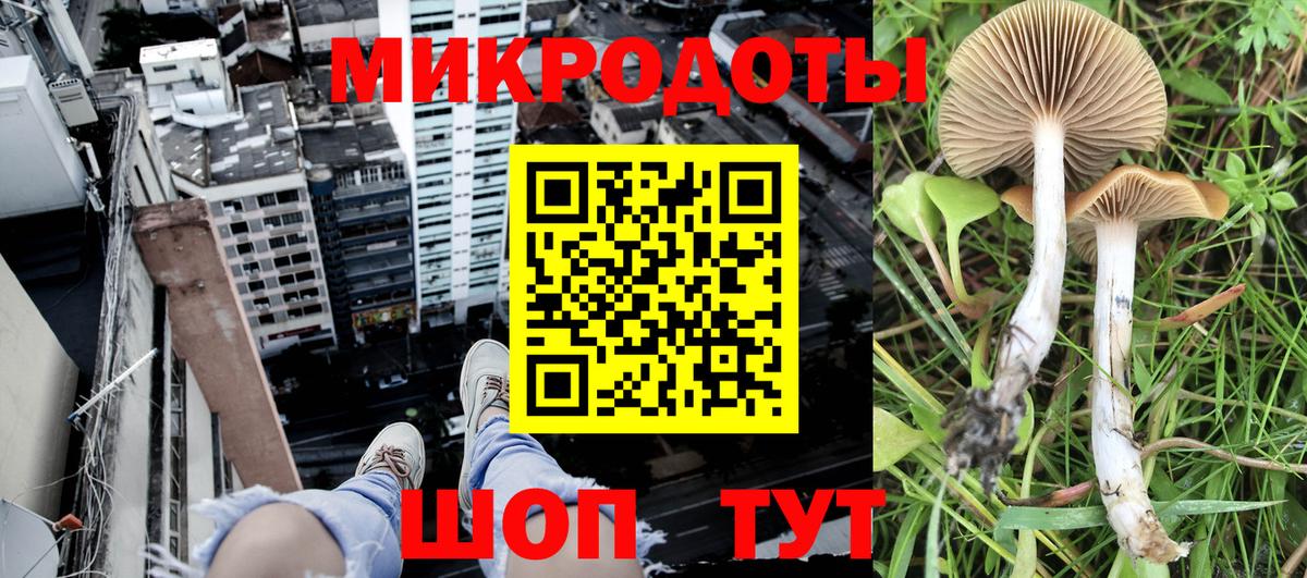 Галлюциногенные грибы Magic Shrooms Курчалой