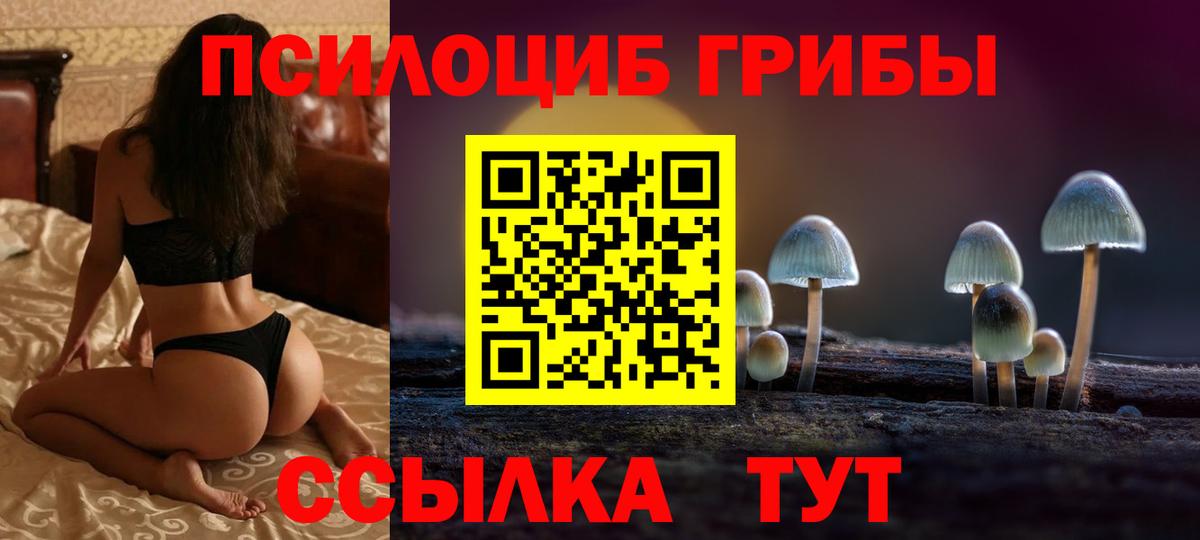 Псилоцибиновые грибы мицелий  Вход с VPN  Курчалой 